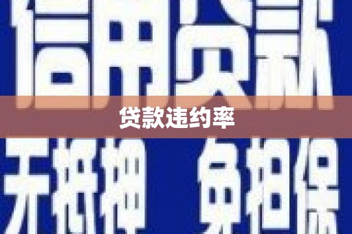 巴青贷款违约率