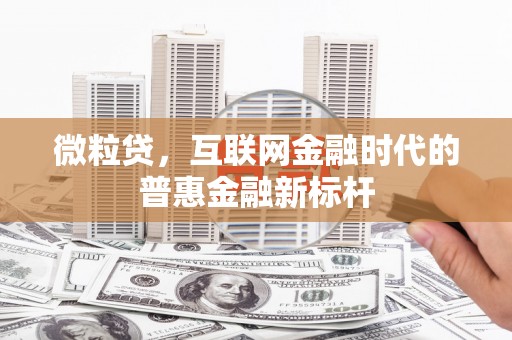 巴青微粒贷，互联网金融时代的普惠金融新标杆