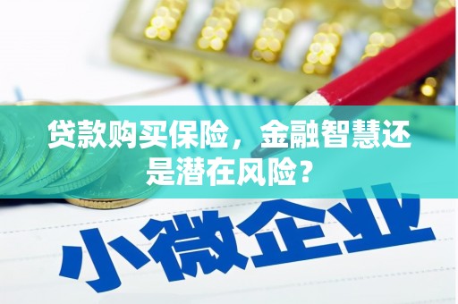 巴青贷款购买保险，金融智慧还是潜在风险？