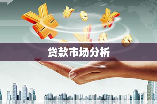 巴青贷款市场分析