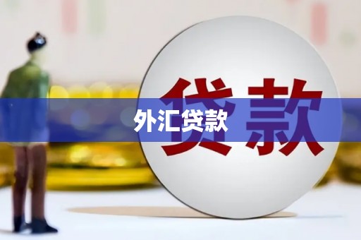 巴青外汇贷款