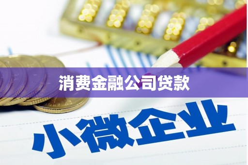 巴青消费金融公司贷款