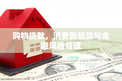 巴青购物贷款，消费新趋势与金融风险管理