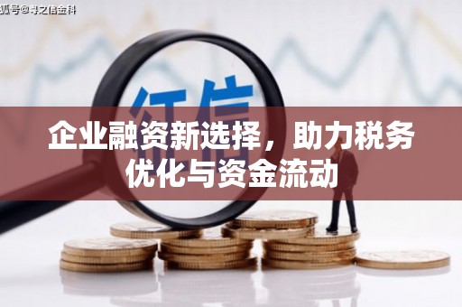 巴青企业融资新选择，助力税务优化与资金流动