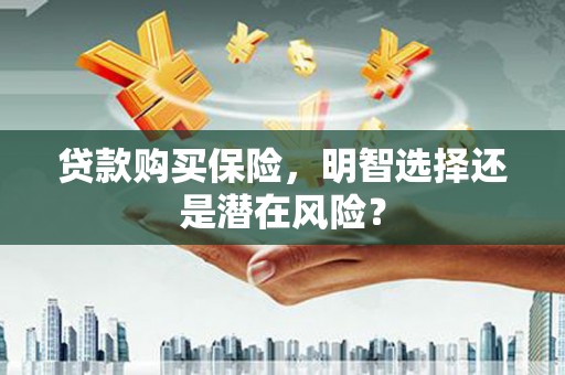 巴青贷款购买保险，明智选择还是潜在风险？