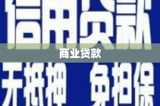 巴青商业贷款