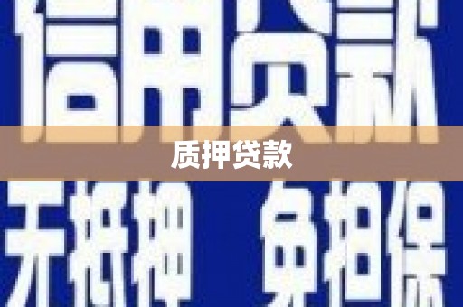巴青质押贷款