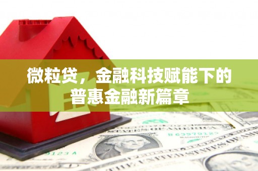 巴青微粒贷，金融科技赋能下的普惠金融新篇章