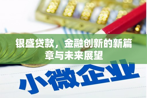 巴青银盛贷款，金融创新的新篇章与未来展望