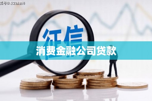 巴青消费金融公司贷款