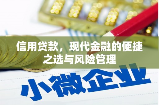 巴青信用贷款，现代金融的便捷之选与风险管理
