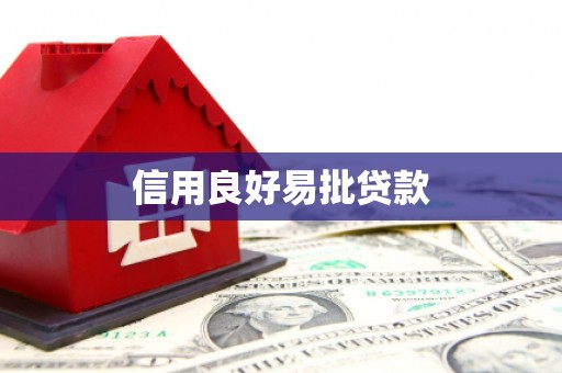巴青信用良好易批贷款