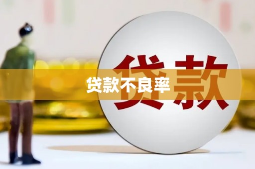巴青贷款不良率