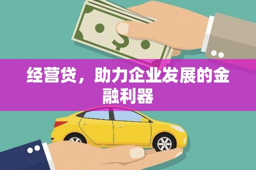 巴青经营贷，助力企业发展的金融利器