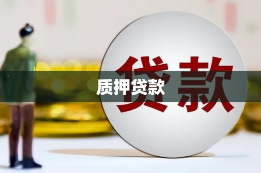 巴青质押贷款