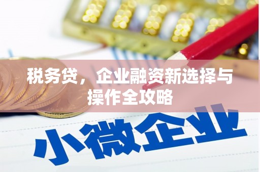 巴青税务贷，企业融资新选择与操作全攻略