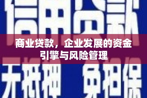巴青商业贷款，企业发展的资金引擎与风险管理