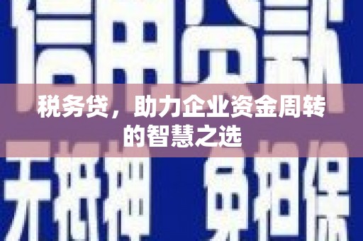 巴青税务贷，助力企业资金周转的智慧之选