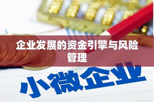 巴青企业发展的资金引擎与风险管理