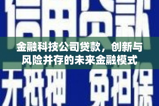 巴青金融科技公司贷款，创新与风险并存的未来金融模式