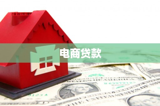 巴青电商贷款