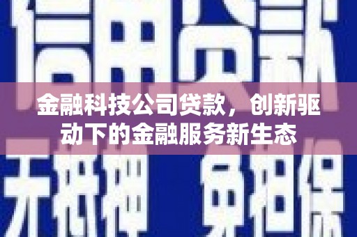 巴青金融科技公司贷款，创新驱动下的金融服务新生态