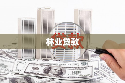 巴青林业贷款