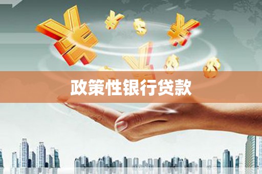 巴青政策性银行贷款