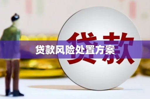 巴青贷款风险处置方案
