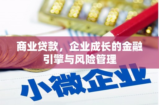 巴青商业贷款，企业成长的金融引擎与风险管理