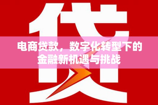 巴青电商贷款，数字化转型下的金融新机遇与挑战