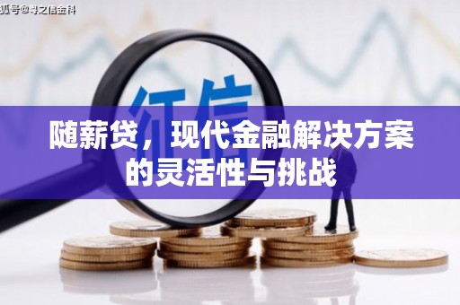 巴青随薪贷，现代金融解决方案的灵活性与挑战