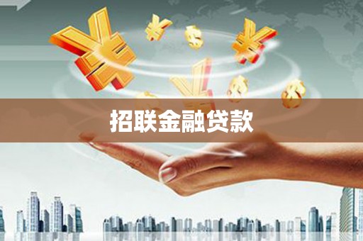 巴青招联金融贷款