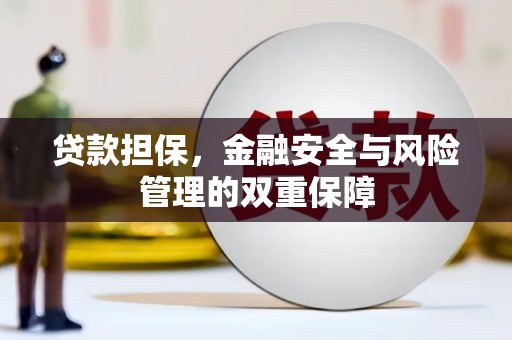 巴青贷款担保，金融安全与风险管理的双重保障