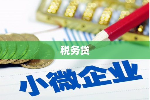 巴青税务贷