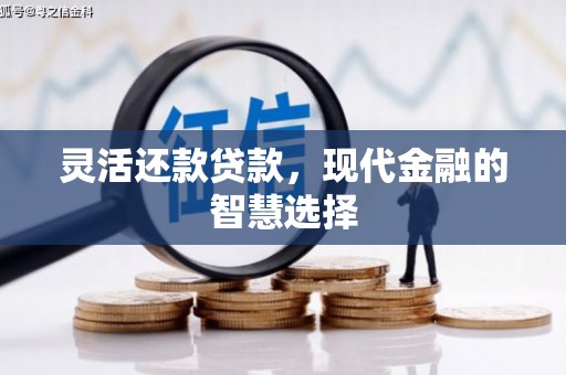 巴青灵活还款贷款，现代金融的智慧选择