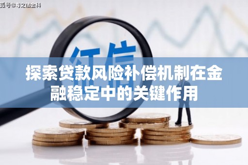 巴青探索贷款风险补偿机制在金融稳定中的关键作用