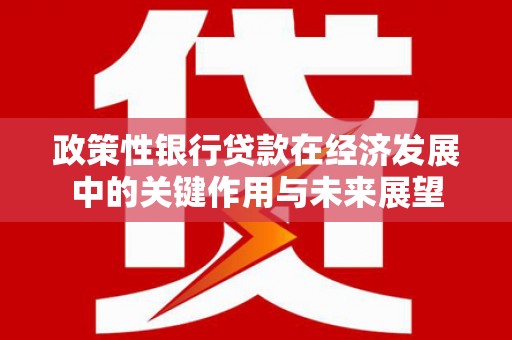 巴青政策性银行贷款在经济发展中的关键作用与未来展望