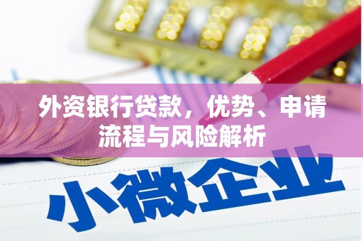 巴青外资银行贷款，优势、申请流程与风险解析