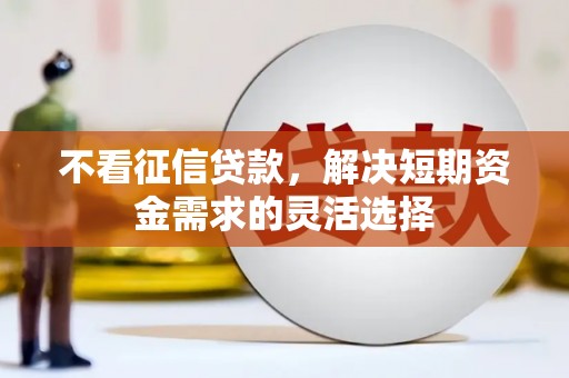 巴青不看征信贷款，解决短期资金需求的灵活选择