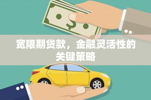 巴青宽限期贷款，金融灵活性的关键策略