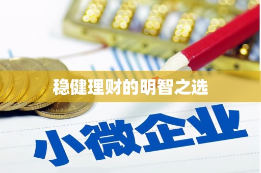 巴青稳健理财的明智之选
