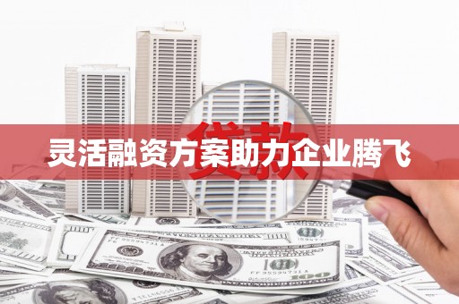 巴青灵活融资方案助力企业腾飞