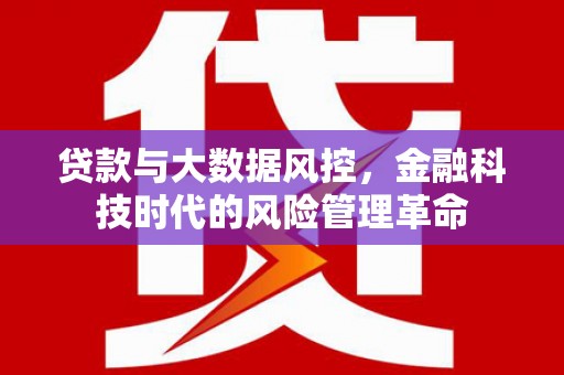 巴青贷款与大数据风控，金融科技时代的风险管理革命
