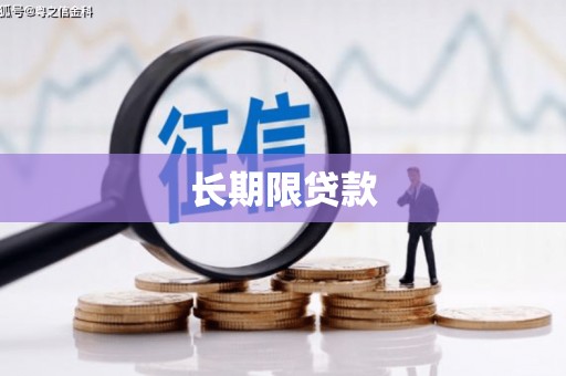 巴青长期限贷款