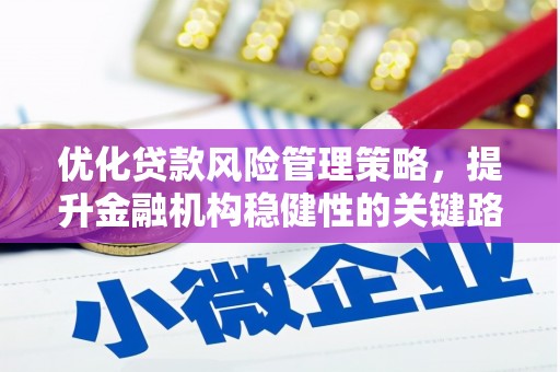 巴青优化贷款风险管理策略，提升金融机构稳健性的关键路径