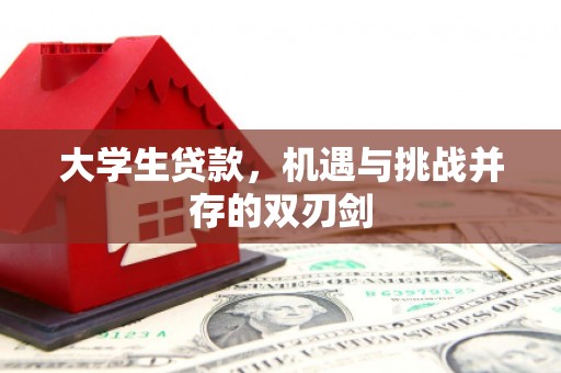 巴青大学生贷款，机遇与挑战并存的双刃剑
