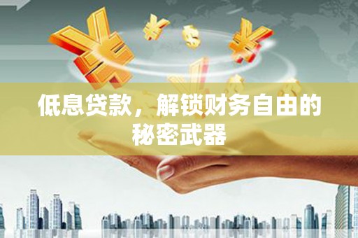 巴青低息贷款，解锁财务自由的秘密武器