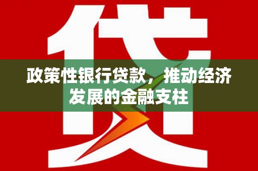 巴青政策性银行贷款，推动经济发展的金融支柱