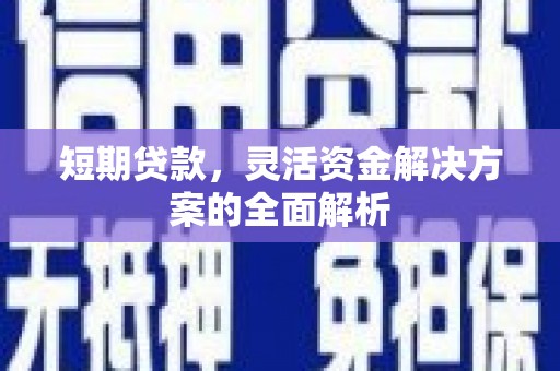 巴青短期贷款，灵活资金解决方案的全面解析